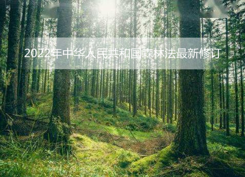 2022年中华人民共和国森林法最新修订 中华人民共和国森林法最新修订 中华人民共和国森林法2022 (1984年9月20日第六届全国人民代表大会常务委员会第七次会议通过 根据1998年4月29日第九届全国人民代表大会常务委员会第二次会议《关于修改〈中华人民共和国森林法〉的决定》第一次修正 根据2009年8月27日第十一届全国人民代表大会常务委员会第十次会议《关于修改部分法律的决定》第二次修正 2019年12月28日第十三届全国人民代表大会常务委员会第十五次会议修订) 目 录 第一章 总则 第二章 森林权属 第三章 发展规划 第四章 森林保护 第五章 造林绿化 第六章 经营管理 第七章 监督检查 第八章 法律责任 第九章 附则 第一章 总则 第一条 为了践行绿水青山就是金山银山理念,保护、培育和合理利用森林资源,加快国土绿化,保障森林生态安全,建设生态文明,实现人与自然和谐共生,制定本法。 第二条 在中华人民共和国领域内从事森林、林木的保护、培育、利用和森林、林木、林地的经营管理活动,适用本法。 第三条 保护、培育、利用森林资源应当尊重自然、顺应自然,坚持生态优先、保护优先、保育结合、可持续发展的原则。 第四条 国家实行森林资源保护发展目标责任制和考核评价制度。上级人民政府对下级人民政府完成森林资源保护发展目标和森林防火、重大林业有害生物防治工作的情况进行考核,并公开考核结果。 地方人民政府可以根据本行政区域森林资源保护发展的需要,建立林长制。 第五条 国家采取财政、税收、金融等方面的措施,支持森林资源保护发展。各级人民政府应当保障森林生态保护修复的投入,促进林业发展。 第六条 国家以培育稳定、健康、优质、高效的森林生态系统为目标,对公益林和商品林实行分类经营管理,突出主导功能,发挥多种功能,实现森林资源永续利用。 第七条 国家建立森林生态效益补偿制度,加大公益林保护支持力度,完善重点生态功能区转移支付政策,指导受益地区和森林生态保护地区人民政府通过协商等方式进行生态效益补偿。 第八条 国务院和省、自治区、直辖市人民政府可以依照国家对民族自治地方自治权的规定,对民族自治地方的森林保护和林业发展实行更加优惠的政策。 第九条 国务院林业主管部门主管全国林业工作。县级以上地方人民政府林业主管部门,主管本行政区域的林业工作。 乡镇人民政府可以确定相关机构或者设置专职、兼职人员承担林业相关工作。 第十条 植树造林、保护森林,是公民应尽的义务。各级人民政府应当组织开展全民义务植树活动。 每年三月十二日为植树节。 第十一条 国家采取措施,鼓励和支持林业科学研究,推广先进适用的林业技术,提高林业科学技术水平。 第十二条 各级人民政府应当加强森林资源保护的宣传教育和知识普及工作,鼓励和支持基层群众性自治组织、新闻媒体、林业企业事业单位、志愿者等开展森林资源保护宣传活动。 教育行政部门、学校应当对学生进行森林资源保护教育。 第十三条 对在造林绿化、森林保护、森林经营管理以及林业科学研究等方面成绩显著的组织或者个人,按照国家有关规定给予表彰、奖励。 第二章 森林权属 第十四条 森林资源属于国家所有,由法律规定属于集体所有的除外。 国家所有的森林资源的所有权由国务院代表国家行使。国务院可以授权国务院自然资源主管部门统一履行国有森林资源所有者职责。 第十五条 林地和林地上的森林、林木的所有权、使用权,由不动产登记机构统一登记造册,核发证书。国务院确定的国家重点林区(以下简称重点林区)的森林、林木和林地,由国务院自然资源主管部门负责登记。 森林、林木、林地的所有者和使用者的合法权益受法律保护,任何组织和个人不得侵犯。 森林、林木、林地的所有者和使用者应当依法保护和合理利用森林、林木、林地,不得非法改变林地用途和毁坏森林、林木、林地。 第十六条 国家所有的林地和林地上的森林、林木可以依法确定给林业经营者使用。林业经营者依法取得的国有林地和林地上的森林、林木的使用权,经批准可以转让、出租、作价出资等。具体办法由国务院制定。 林业经营者应当履行保护、培育森林资源的义务,保证国有森林资源稳定增长,提高森林生态功能。 第十七条 集体所有和国家所有依法由农民集体使用的林地(以下简称集体林地)实行承包经营的,承包方享有林地承包经营权和承包林地上的林木所有权,合同另有约定的从其约定。承包方可以依法采取出租(转包)、入股、转让等方式流转林地经营权、林木所有权和使用权。 第十八条 未实行承包经营的集体林地以及林地上的林木,由农村集体经济组织统一经营。经本集体经济组织成员的村民会议三分之二以上成员或者三分之二以上村民代表同意并公示,可以通过招标、拍卖、公开协商等方式依法流转林地经营权、林木所有权和使用权。 第十九条 集体林地经营权流转应当签订书面合同。林地经营权流转合同一般包括流转双方的权利义务、流转期限、流转价款及支付方式、流转期限届满林地上的林木和固定生产设施的处置、违约责任等内容。 受让方违反法律规定或者合同约定造成森林、林木、林地严重毁坏的,发包方或者承包方有权收回林地经营权。 第二十条 国有企业事业单位、机关、团体、部队营造的林木,由营造单位管护并按照国家规定支配林木收益。 农村居民在房前屋后、自留地、自留山种植的林木,归个人所有。城镇居民在自有房屋的庭院内种植的林木,归个人所有。 集体或者个人承包国家所有和集体所有的宜林荒山荒地荒滩营造的林木,归承包的集体或者个人所有;合同另有约定的从其约定。 其他组织或者个人营造的林木,依法由营造者所有并享有林木收益;合同另有约定的从其约定。 第二十一条 为了生态保护、基础设施建设等公共利益的需要,确需征收、征用林地、林木的,应当依照《中华人民共和国土地管理法》等法律、行政法规的规定办理审批手续,并给予公平、合理的补偿。 第二十二条 单位之间发生的林木、林地所有权和使用权争议,由县级以上人民政府依法处理。 个人之间、个人与单位之间发生的林木所有权和林地使用权争议,由乡镇人民政府或者县级以上人民政府依法处理。 当事人对有关人民政府的处理决定不服的,可以自接到处理决定通知之日起三十日内,向人民法院起诉。 在林木、林地权属争议解决前,除因森林防火、林业有害生物防治、国家重大基础设施建设等需要外,当事人任何一方不得砍伐有争议的林木或者改变林地现状。 第三章 发展规划 第二十三条 县级以上人民政府应当将森林资源保护和林业发展纳入国民经济和社会发展规划。 第二十四条 县级以上人民政府应当落实国土空间开发保护要求,合理规划森林资源保护利用结构和布局,制定森林资源保护发展目标,提高森林覆盖率、森林蓄积量,提升森林生态系统质量和稳定性。 第二十五条 县级以上人民政府林业主管部门应当根据森林资源保护发展目标,编制林业发展规划。下级林业发展规划依据上级林业发展规划编制。 第二十六条 县级以上人民政府林业主管部门可以结合本地实际,编制林地保护利用、造林绿化、森林经营、天然林保护等相关专项规划。 第二十七条 国家建立森林资源调查监测制度,对全国森林资源现状及变化情况进行调查、监测和评价,并定期公布。 第四章 森林保护 第二十八条 国家加强森林资源保护,发挥森林蓄水保土、调节气候、改善环境、维护生物多样性和提供林产品等多种功能。 第二十九条 中央和地方财政分别安排资金,用于公益林的营造、抚育、保护、管理和非国有公益林权利人的经济补偿等,实行专款专用。具体办法由国务院财政部门会同林业主管部门制定。 第三十条 国家支持重点林区的转型发展和森林资源保护修复,改善生产生活条件,促进所在地区经济社会发展。重点林区按照规定享受国家重点生态功能区转移支付等政策。 第三十一条 国家在不同自然地带的典型森林生态地区、珍贵动物和植物生长繁殖的林区、天然热带雨林区和具有特殊保护价值的其他天然林区,建立以国家公园为主体的自然保护地体系,加强保护管理。 国家支持生态脆弱地区森林资源的保护修复。 县级以上人民政府应当采取措施对具有特殊价值的野生植物资源予以保护。 第三十二条 国家实行天然林全面保护制度,严格限制天然林采伐,加强天然林管护能力建设,保护和修复天然林资源,逐步提高天然林生态功能。具体办法由国务院规定。 第三十三条 地方各级人民政府应当组织有关部门建立护林组织,负责护林工作;根据实际需要建设护林设施,加强森林资源保护;督促相关组织订立护林公约、组织群众护林、划定护林责任区、配备专职或者兼职护林员。 县级或者乡镇人民政府可以聘用护林员,其主要职责是巡护森林,发现火情、林业有害生物以及破坏森林资源的行为,应当及时处理并向当地林业等有关部门报告。 第三十四条 地方各级人民政府负责本行政区域的森林防火工作,发挥群防作用;县级以上人民政府组织领导应急管理、林业、公安等部门按照职责分工密切配合做好森林火灾的科学预防、扑救和处置工作: (一)组织开展森林防火宣传活动,普及森林防火知识; (二)划定森林防火区,规定森林防火期; (三)设置防火设施,配备防灭火装备和物资; (四)建立森林火灾监测预警体系,及时消除隐患; (五)制定森林火灾应急预案,发生森林火灾,立即组织扑救; (六)保障预防和扑救森林火灾所需费用。 国家综合性消防救援队伍承担国家规定的森林火灾扑救任务和预防相关工作。 第三十五条 县级以上人民政府林业主管部门负责本行政区域的林业有害生物的监测、检疫和防治。 省级以上人民政府林业主管部门负责确定林业植物及其产品的检疫性有害生物,划定疫区和保护区。 重大林业有害生物灾害防治实行地方人民政府负责制。发生暴发性、危险性等重大林业有害生物灾害时,当地人民政府应当及时组织除治。 林业经营者在政府支持引导下,对其经营管理范围内的林业有害生物进行防治。 第三十六条 国家保护林地,严格控制林地转为非林地,实行占用林地总量控制,确保林地保有量不减少。各类建设项目占用林地不得超过本行政区域的占用林地总量控制指标。 第三十七条 矿藏勘查、开采以及其他各类工程建设,应当不占或者少占林地;确需占用林地的,应当经县级以上人民政府林业主管部门审核同意,依法办理建设用地审批手续。 占用林地的单位应当缴纳森林植被恢复费。森林植被恢复费征收使用管理办法由国务院财政部门会同林业主管部门制定。 县级以上人民政府林业主管部门应当按照规定安排植树造林,恢复森林植被,植树造林面积不得少于因占用林地而减少的森林植被面积。上级林业主管部门应当定期督促下级林业主管部门组织植树造林、恢复森林植被,并进行检查。 第三十八条 需要临时使用林地的,应当经县级以上人民政府林业主管部门批准;临时使用林地的期限一般不超过二年,并不得在临时使用的林地上修建永久性建筑物。 临时使用林地期满后一年内,用地单位或者个人应当恢复植被和林业生产条件。 第三十九条 禁止毁林开垦、采石、采砂、采土以及其他毁坏林木和林地的行为。 禁止向林地排放重金属或者其他有毒有害物质含量超标的污水、污泥,以及可能造成林地污染的清淤底泥、尾矿、矿渣等。 禁止在幼林地砍柴、毁苗、放牧。 禁止擅自移动或者损坏森林保护标志。 第四十条 国家保护古树名木和珍贵树木。禁止破坏古树名木和珍贵树木及其生存的自然环境。 第四十一条 各级人民政府应当加强林业基础设施建设,应用先进适用的科技手段,提高森林防火、林业有害生物防治等森林管护能力。 各有关单位应当加强森林管护。国有林业企业事业单位应当加大投入,加强森林防火、林业有害生物防治,预防和制止破坏森林资源的行为。 第五章 造林绿化 第四十二条 国家统筹城乡造林绿化,开展大规模国土绿化行动,绿化美化城乡,推动森林城市建设,促进乡村振兴,建设美丽家园。 第四十三条 各级人民政府应当组织各行各业和城乡居民造林绿化。 宜林荒山荒地荒滩,属于国家所有的,由县级以上人民政府林业主管部门和其他有关主管部门组织开展造林绿化;属于集体所有的,由集体经济组织组织开展造林绿化。 城市规划区内、铁路公路两侧、江河两侧、湖泊水库周围,由各有关主管部门按照有关规定因地制宜组织开展造林绿化;工矿区、工业园区、机关、学校用地,部队营区以及农场、牧场、渔场经营地区,由各该单位负责造林绿化。组织开展城市造林绿化的具体办法由国务院制定。 国家所有和集体所有的宜林荒山荒地荒滩可以由单位或者个人承包造林绿化。 第四十四条 国家鼓励公民通过植树造林、抚育管护、认建认养等方式参与造林绿化。 第四十五条 各级人民政府组织造林绿化,应当科学规划、因地制宜,优化林种、树种结构,鼓励使用乡土树种和林木良种、营造混交林,提高造林绿化质量。 国家投资或者以国家投资为主的造林绿化项目,应当按照国家规定使用林木良种。 第四十六条 各级人民政府应当采取以自然恢复为主、自然恢复和人工修复相结合的措施,科学保护修复森林生态系统。新造幼林地和其他应当封山育林的地方,由当地人民政府组织封山育林。 各级人民政府应当对国务院确定的坡耕地、严重沙化耕地、严重石漠化耕地、严重污染耕地等需要生态修复的耕地,有计划地组织实施退耕还林还草。 各级人民政府应当对自然因素等导致的荒废和受损山体、退化林地以及宜林荒山荒地荒滩,因地制宜实施森林生态修复工程,恢复植被。 第六章 经营管理 第四十七条 国家根据生态保护的需要,将森林生态区位重要或者生态状况脆弱,以发挥生态效益为主要目的的林地和林地上的森林划定为公益林。未划定为公益林的林地和林地上的森林属于商品林。 第四十八条 公益林由国务院和省、自治区、直辖市人民政府划定并公布。 下列区域的林地和林地上的森林,应当划定为公益林: (一)重要江河源头汇水区域; (二)重要江河干流及支流两岸、饮用水水源地保护区; (三)重要湿地和重要水库周围; (四)森林和陆生野生动物类型的自然保护区; (五)荒漠化和水土流失严重地区的防风固沙林基干林带; (六)沿海防护林基干林带; (七)未开发利用的原始林地区; (八)需要划定的其他区域。 公益林划定涉及非国有林地的,应当与权利人签订书面协议,并给予合理补偿。 公益林进行调整的,应当经原划定机关同意,并予以公布。 国家级公益林划定和管理的办法由国务院制定;地方级公益林划定和管理的办法由省、自治区、直辖市人民政府制定。 第四十九条 国家对公益林实施严格保护。 县级以上人民政府林业主管部门应当有计划地组织公益林经营者对公益林中生态功能低下的疏林、残次林等低质低效林,采取林分改造、森林抚育等措施,提高公益林的质量和生态保护功能。 在符合公益林生态区位保护要求和不影响公益林生态功能的前提下,经科学论证,可以合理利用公益林林地资源和森林景观资源,适度开展林下经济、森林旅游等。利用公益林开展上述活动应当严格遵守国家有关规定。 第五十条 国家鼓励发展下列商品林: (一)以生产木材为主要目的的森林; (二)以生产果品、油料、饮料、调料、工业原料和药材等林产品为主要目的的森林; (三)以生产燃料和其他生物质能源为主要目的的森林; (四)其他以发挥经济效益为主要目的的森林。 在保障生态安全的前提下,国家鼓励建设速生丰产、珍贵树种和大径级用材林,增加林木储备,保障木材供给安全。 第五十一条 商品林由林业经营者依法自主经营。在不破坏生态的前提下,可以采取集约化经营措施,合理利用森林、林木、林地,提高商品林经济效益。 第五十二条 在林地上修筑下列直接为林业生产经营服务的工程设施,符合国家有关部门规定的标准的,由县级以上人民政府林业主管部门批准,不需要办理建设用地审批手续;超出标准需要占用林地的,应当依法办理建设用地审批手续: (一)培育、生产种子、苗木的设施; (二)贮存种子、苗木、木材的设施; (三)集材道、运材道、防火巡护道、森林步道; (四)林业科研、科普教育设施; (五)野生动植物保护、护林、林业有害生物防治、森林防火、木材检疫的设施; (六)供水、供电、供热、供气、通讯基础设施; (七)其他直接为林业生产服务的工程设施。 第五十三条 国有林业企业事业单位应当编制森林经营方案,明确森林培育和管护的经营措施,报县级以上人民政府林业主管部门批准后实施。重点林区的森林经营方案由国务院林业主管部门批准后实施。 国家支持、引导其他林业经营者编制森林经营方案。 编制森林经营方案的具体办法由国务院林业主管部门制定。 第五十四条 国家严格控制森林年采伐量。省、自治区、直辖市人民政府林业主管部门根据消耗量低于生长量和森林分类经营管理的原则,编制本行政区域的年采伐限额,经征求国务院林业主管部门意见,报本级人民政府批准后公布实施,并报国务院备案。重点林区的年采伐限额,由国务院林业主管部门编制,报国务院批准后公布实施。 第五十五条 采伐森林、林木应当遵守下列规定: (一)公益林只能进行抚育、更新和低质低效林改造性质的采伐。但是,因科研或者实验、防治林业有害生物、建设护林防火设施、营造生物防火隔离带、遭受自然灾害等需要采伐的除外。 (二)商品林应当根据不同情况,采取不同采伐方式,严格控制皆伐面积,伐育同步规划实施。 (三)自然保护区的林木,禁止采伐。但是,因防治林业有害生物、森林防火、维护主要保护对象生存环境、遭受自然灾害等特殊情况必须采伐的和实验区的竹林除外。 省级以上人民政府林业主管部门应当根据前款规定,按照森林分类经营管理、保护优先、注重效率和效益等原则,制定相应的林木采伐技术规程。 第五十六条 采伐林地上的林木应当申请采伐许可证,并按照采伐许可证的规定进行采伐;采伐自然保护区以外的竹林,不需要申请采伐许可证,但应当符合林木采伐技术规程。 农村居民采伐自留地和房前屋后个人所有的零星林木,不需要申请采伐许可证。 非林地上的农田防护林、防风固沙林、护路林、护岸护堤林和城镇林木等的更新采伐,由有关主管部门按照有关规定管理。 采挖移植林木按照采伐林木管理。具体办法由国务院林业主管部门制定。 禁止伪造、变造、买卖、租借采伐许可证。 第五十七条 采伐许可证由县级以上人民政府林业主管部门核发。 县级以上人民政府林业主管部门应当采取措施,方便申请人办理采伐许可证。 农村居民采伐自留山和个人承包集体林地上的林木,由县级人民政府林业主管部门或者其委托的乡镇人民政府核发采伐许可证。 第五十八条 申请采伐许可证,应当提交有关采伐的地点、林种、树种、面积、蓄积、方式、更新措施和林木权属等内容的材料。超过省级以上人民政府林业主管部门规定面积或者蓄积量的,还应当提交伐区调查设计材料。 第五十九条 符合林木采伐技术规程的,审核发放采伐许可证的部门应当及时核发采伐许可证。但是,审核发放采伐许可证的部门不得超过年采伐限额发放采伐许可证。 第六十条 有下列情形之一的,不得核发采伐许可证: (一)采伐封山育林期、封山育林区内的林木; (二)上年度采伐后未按照规定完成更新造林任务; (三)上年度发生重大滥伐案件、森林火灾或者林业有害生物灾害,未采取预防和改进措施; (四)法律法规和国务院林业主管部门规定的禁止采伐的其他情形。 第六十一条 采伐林木的组织和个人应当按照有关规定完成更新造林。更新造林的面积不得少于采伐的面积,更新造林应当达到相关技术规程规定的标准。 第六十二条 国家通过贴息、林权收储担保补助等措施,鼓励和引导金融机构开展涉林抵押贷款、林农信用贷款等符合林业特点的信贷业务,扶持林权收储机构进行市场化收储担保。 第六十三条 国家支持发展森林保险。县级以上人民政府依法对森林保险提供保险费补贴。 第六十四条 林业经营者可以自愿申请森林认证,促进森林经营水平提高和可持续经营。 第六十五条 木材经营加工企业应当建立原料和产品出入库台账。任何单位和个人不得收购、加工、运输明知是盗伐、滥伐等非法来源的林木。 第七章 监督检查 第六十六条 县级以上人民政府林业主管部门依照本法规定,对森林资源的保护、修复、利用、更新等进行监督检查,依法查处破坏森林资源等违法行为。 第六十七条 县级以上人民政府林业主管部门履行森林资源保护监督检查职责,有权采取下列措施: (一)进入生产经营场所进行现场检查; (二)查阅、复制有关文件、资料,对可能被转移、销毁、隐匿或者篡改的文件、资料予以封存; (三)查封、扣押有证据证明来源非法的林木以及从事破坏森林资源活动的工具、设备或者财物; (四)查封与破坏森林资源活动有关的场所。 省级以上人民政府林业主管部门对森林资源保护发展工作不力、问题突出、群众反映强烈的地区,可以约谈所在地区县级以上地方人民政府及其有关部门主要负责人,要求其采取措施及时整改。约谈整改情况应当向社会公开。 第六十八条 破坏森林资源造成生态环境损害的,县级以上人民政府自然资源主管部门、林业主管部门可以依法向人民法院提起诉讼,对侵权人提出损害赔偿要求。 第六十九条 审计机关按照国家有关规定对国有森林资源资产进行审计监督。 第八章 法律责任 第七十条 县级以上人民政府林业主管部门或者其他有关国家机关未依照本法规定履行职责的,对直接负责的主管人员和其他直接责任人员依法给予处分。 依照本法规定应当作出行政处罚决定而未作出的,上级主管部门有权责令下级主管部门作出行政处罚决定或者直接给予行政处罚。 第七十一条 违反本法规定,侵害森林、林木、林地的所有者或者使用者的合法权益的,依法承担侵权责任。 第七十二条 违反本法规定,国有林业企业事业单位未履行保护培育森林资源义务、未编制森林经营方案或者未按照批准的森林经营方案开展森林经营活动的,由县级以上人民政府林业主管部门责令限期改正,对直接负责的主管人员和其他直接责任人员依法给予处分。 第七十三条 违反本法规定,未经县级以上人民政府林业主管部门审核同意,擅自改变林地用途的,由县级以上人民政府林业主管部门责令限期恢复植被和林业生产条件,可以处恢复植被和林业生产条件所需费用三倍以下的罚款。 虽经县级以上人民政府林业主管部门审核同意,但未办理建设用地审批手续擅自占用林地的,依照《中华人民共和国土地管理法》的有关规定处罚。 在临时使用的林地上修建永久性建筑物,或者临时使用林地期满后一年内未恢复植被或者林业生产条件的,依照本条第一款规定处罚。 第七十四条 违反本法规定,进行开垦、采石、采砂、采土或者其他活动,造成林木毁坏的,由县级以上人民政府林业主管部门责令停止违法行为,限期在原地或者异地补种毁坏株数一倍以上三倍以下的树木,可以处毁坏林木价值五倍以下的罚款;造成林地毁坏的,由县级以上人民政府林业主管部门责令停止违法行为,限期恢复植被和林业生产条件,可以处恢复植被和林业生产条件所需费用三倍以下的罚款。 违反本法规定,在幼林地砍柴、毁苗、放牧造成林木毁坏的,由县级以上人民政府林业主管部门责令停止违法行为,限期在原地或者异地补种毁坏株数一倍以上三倍以下的树木。 向林地排放重金属或者其他有毒有害物质含量超标的污水、污泥,以及可能造成林地污染的清淤底泥、尾矿、矿渣等的,依照《中华人民共和国土壤污染防治法》的有关规定处罚。 第七十五条 违反本法规定,擅自移动或者毁坏森林保护标志的,由县级以上人民政府林业主管部门恢复森林保护标志,所需费用由违法者承担。 第七十六条 盗伐林木的,由县级以上人民政府林业主管部门责令限期在原地或者异地补种盗伐株数一倍以上五倍以下的树木,并处盗伐林木价值五倍以上十倍以下的罚款。 滥伐林木的,由县级以上人民政府林业主管部门责令限期在原地或者异地补种滥伐株数一倍以上三倍以下的树木,可以处滥伐林木价值三倍以上五倍以下的罚款。 第七十七条 违反本法规定,伪造、变造、买卖、租借采伐许可证的,由县级以上人民政府林业主管部门没收证件和违法所得,并处违法所得一倍以上三倍以下的罚款;没有违法所得的,可以处二万元以下的罚款。 第七十八条 违反本法规定,收购、加工、运输明知是盗伐、滥伐等非法来源的林木的,由县级以上人民政府林业主管部门责令停止违法行为,没收违法收购、加工、运输的林木或者变卖所得,可以处违法收购、加工、运输林木价款三倍以下的罚款。 第七十九条 违反本法规定,未完成更新造林任务的,由县级以上人民政府林业主管部门责令限期完成;逾期未完成的,可以处未完成造林任务所需费用二倍以下的罚款;对直接负责的主管人员和其他直接责任人员,依法给予处分。 第八十条 违反本法规定,拒绝、阻碍县级以上人民政府林业主管部门依法实施监督检查的,可以处五万元以下的罚款,情节严重的,可以责令停产停业整顿。 第八十一条 违反本法规定,有下列情形之一的,由县级以上人民政府林业主管部门依法组织代为履行,代为履行所需费用由违法者承担: (一)拒不恢复植被和林业生产条件,或者恢复植被和林业生产条件不符合国家有关规定; (二)拒不补种树木,或者补种不符合国家有关规定。 恢复植被和林业生产条件、树木补种的标准,由省级以上人民政府林业主管部门制定。 第八十二条 公安机关按照国家有关规定,可以依法行使本法第七十四条第一款、第七十六条、第七十七条、第七十八条规定的行政处罚权。 违反本法规定,构成违反治安管理行为的,依法给予治安管理处罚;构成犯罪的,依法追究刑事责任。 第九章 附则 第八十三条 本法下列用语的含义是: (一)森林,包括乔木林、竹林和国家特别规定的灌木林。按照用途可以分为防护林、特种用途林、用材林、经济林和能源林。 (二)林木,包括树木和竹子。 (三)林地,是指县级以上人民政府规划确定的用于发展林业的土地。包括郁闭度0.2以上的乔木林地以及竹林地、灌木林地、疏林地、采伐迹地、火烧迹地、未成林造林地、苗圃地等。 第八十四条 本法自2020年7月1日起施行。