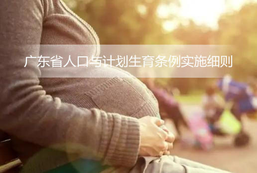 广东省人口与计划生育条例实施细则