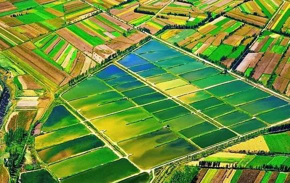 中华人民共和国耕地占用税法2023年最新【全文】