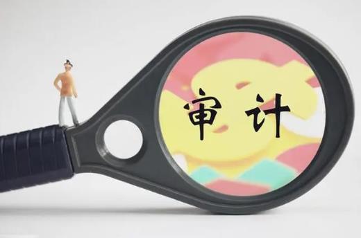 审计法