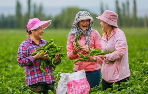 中华人民共和国农民专业合作社法