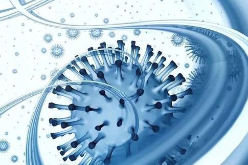 中华人民共和国生物安全法2024最新