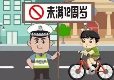 中华人民共和国道路交通安全法实施条例2024修订