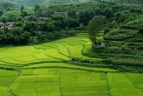 中华人民共和国农村土地承包法