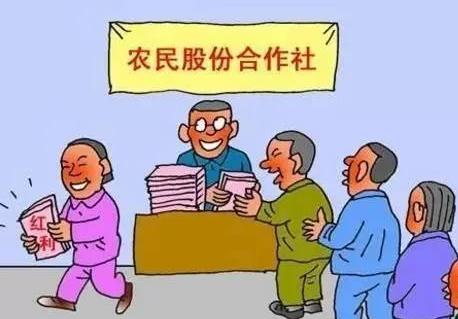 中华人民共和国农民专业合作社法2024修订