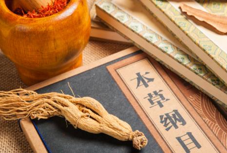 中华人民共和国中医药法2024