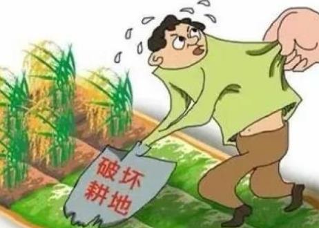 中华人民共和国土地管理法释义:第七十二条