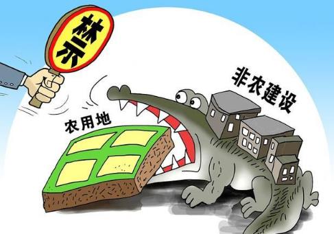 中华人民共和国土地管理法释义第七十六条