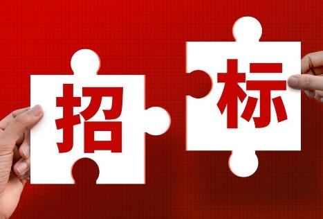 中华人民共和国招标投标法释义:第三十七条