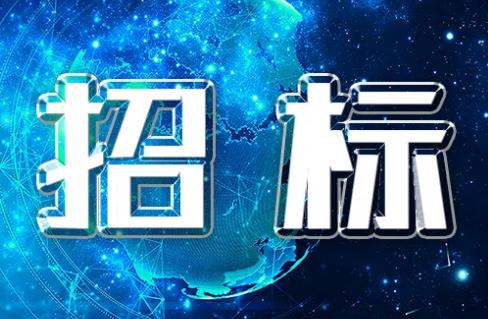 公开招标