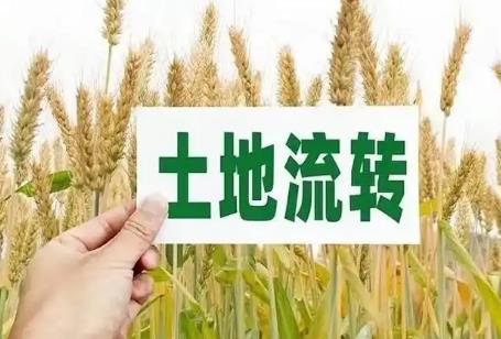 中华人民共和国农村土地承包法释义第三十二条