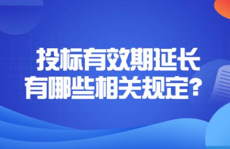 中华人民共和国招标投标法释义:第二十四条