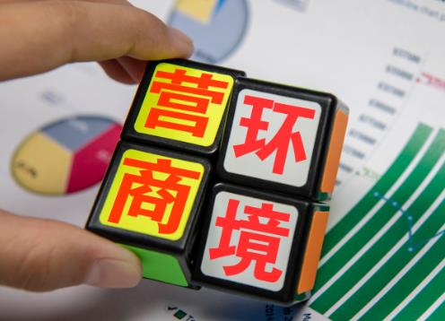 2025年优化营商环境条例最新