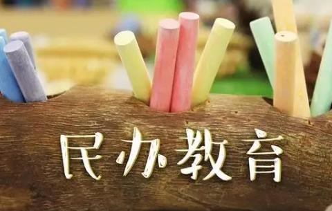 2025年中华人民共和国民办教育促进法最新