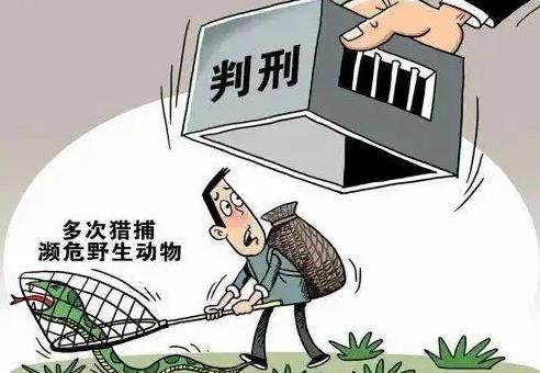 2025年中华人民共和国野生动物保护法最新修正