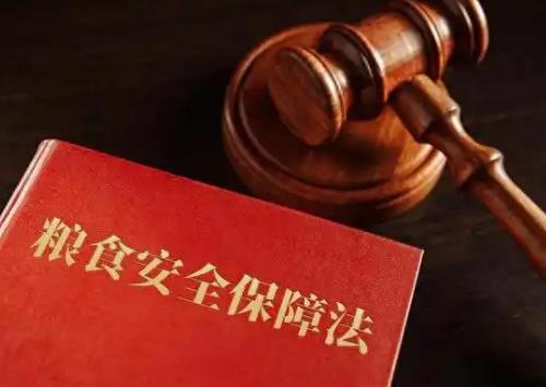 2025年中华人民共和国粮食安全保障法最新