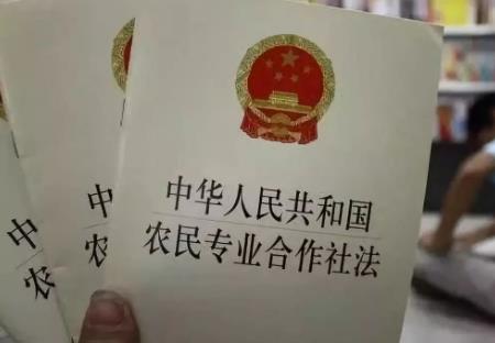 2025年中华人民共和国农民专业合作社法最新