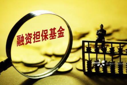 融资担保